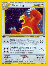 Ursaring (15) (n2-15/75)