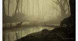 Blair Witch - PlayStation 4