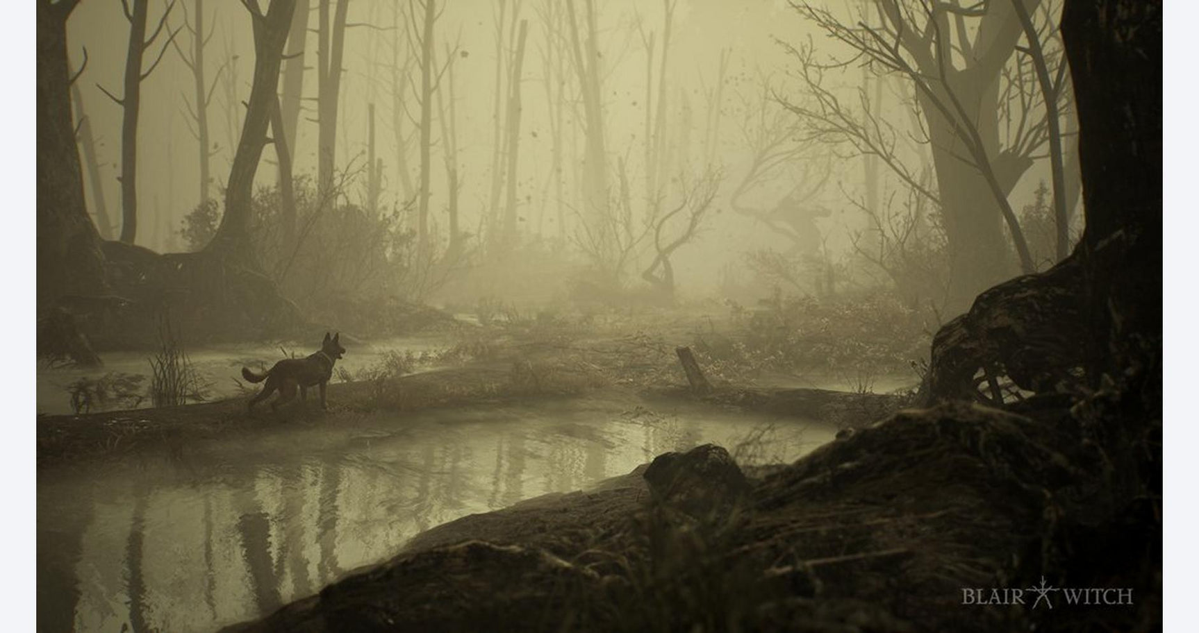 Blair Witch - PlayStation 4