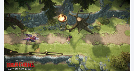 Dragons: Dawn of New Riders - Nintendo Switch