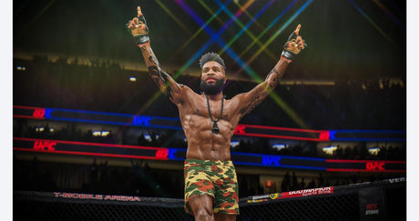 EA Sports UFC 4 - PlayStation 4