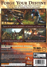 Kingdoms of Amalur: Reckoning - Xbox 360