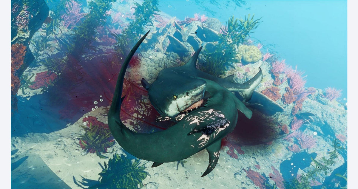 Maneater - PlayStation 4