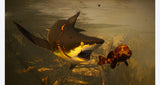 Maneater - PlayStation 4