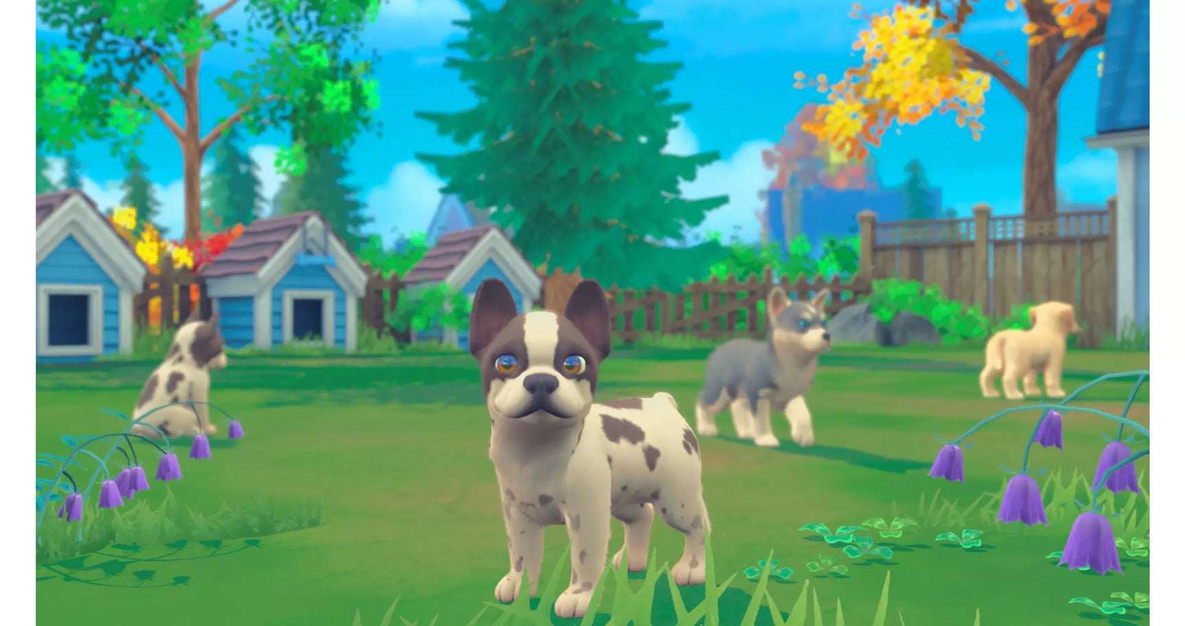My Universe: Puppies and Kittens - Nintendo Switch