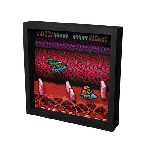 Battletoads - Turbo Tunnel - 9"x9" Shadow Box Art