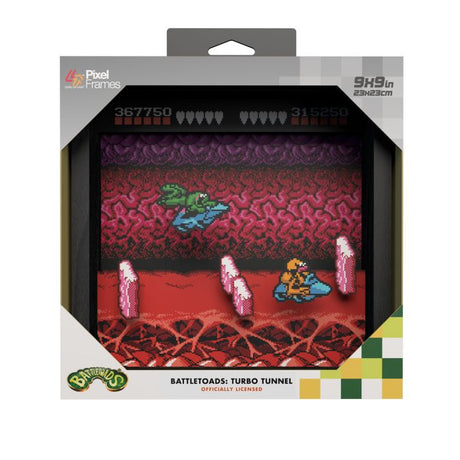 Battletoads - Turbo Tunnel - 9"x9" Shadow Box Art