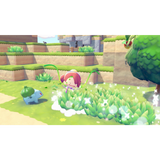 Pokemon Pokopia - Nintendo Switch 2