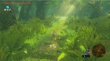 Legend of Zelda: Breath of the Wild - Nintendo Switch 2 Edition