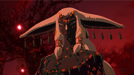 Hyrule Warriors: Age of Imprisonment - Nintendo Switch 2