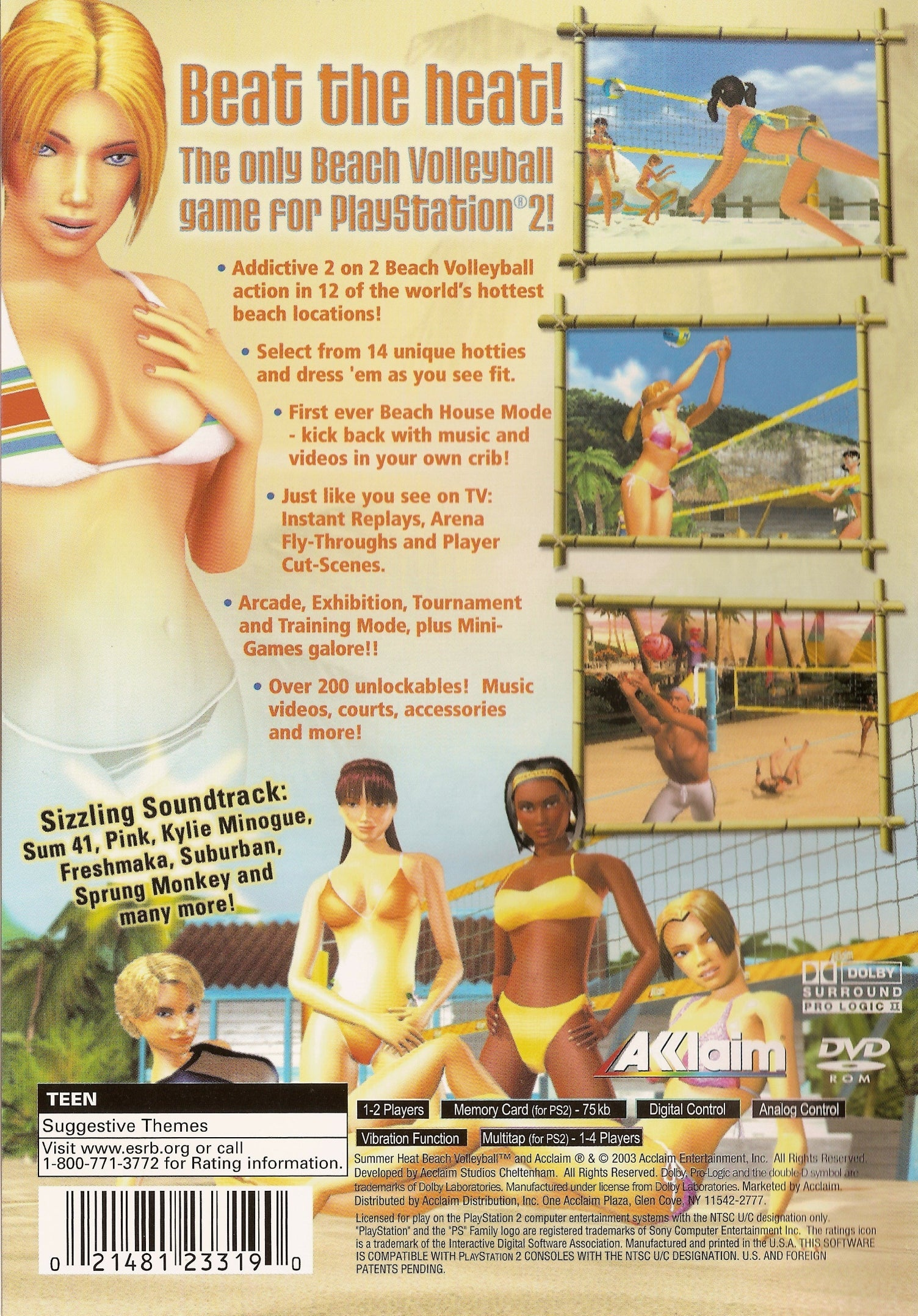 Summer Heat Beach Volleyball - PlayStation 2