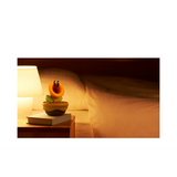 Talking Flower from Super Mario Bros. Wonder