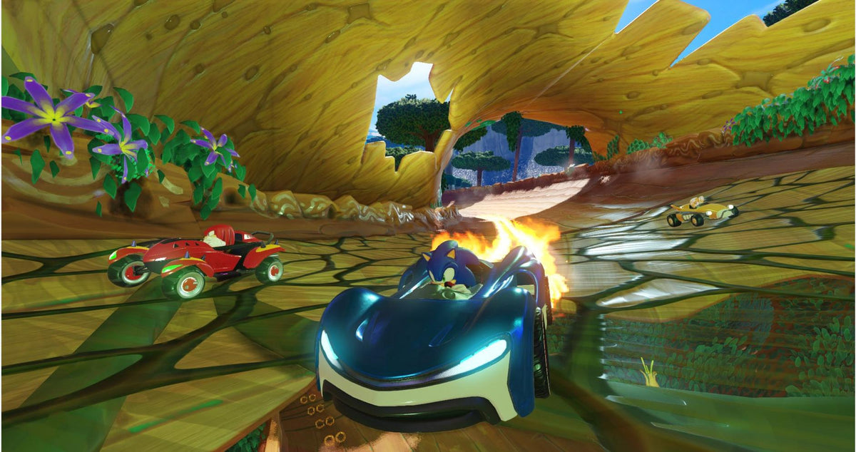 Team Sonic Racing - PlayStation 4