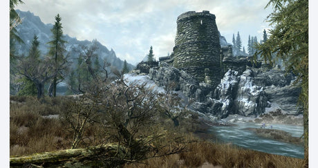 Elder Scrolls V: Skyrim - Nintendo Switch