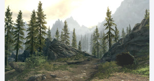 The Elder Scrolls V: Skyrim PSVR - PlayStation 4