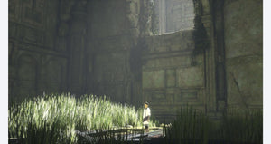 The Last Guardian - Playstation 4