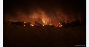 The Last of Us Part II - PlayStation 4