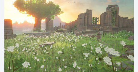 Legend of Zelda: Breath of the Wild - Nintendo Switch