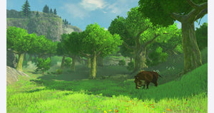 Legend of Zelda: Breath of the Wild - Nintendo Switch