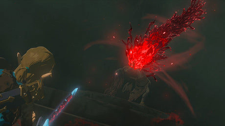 Legend of Zelda: Tears of the Kingdom - Nintendo Switch