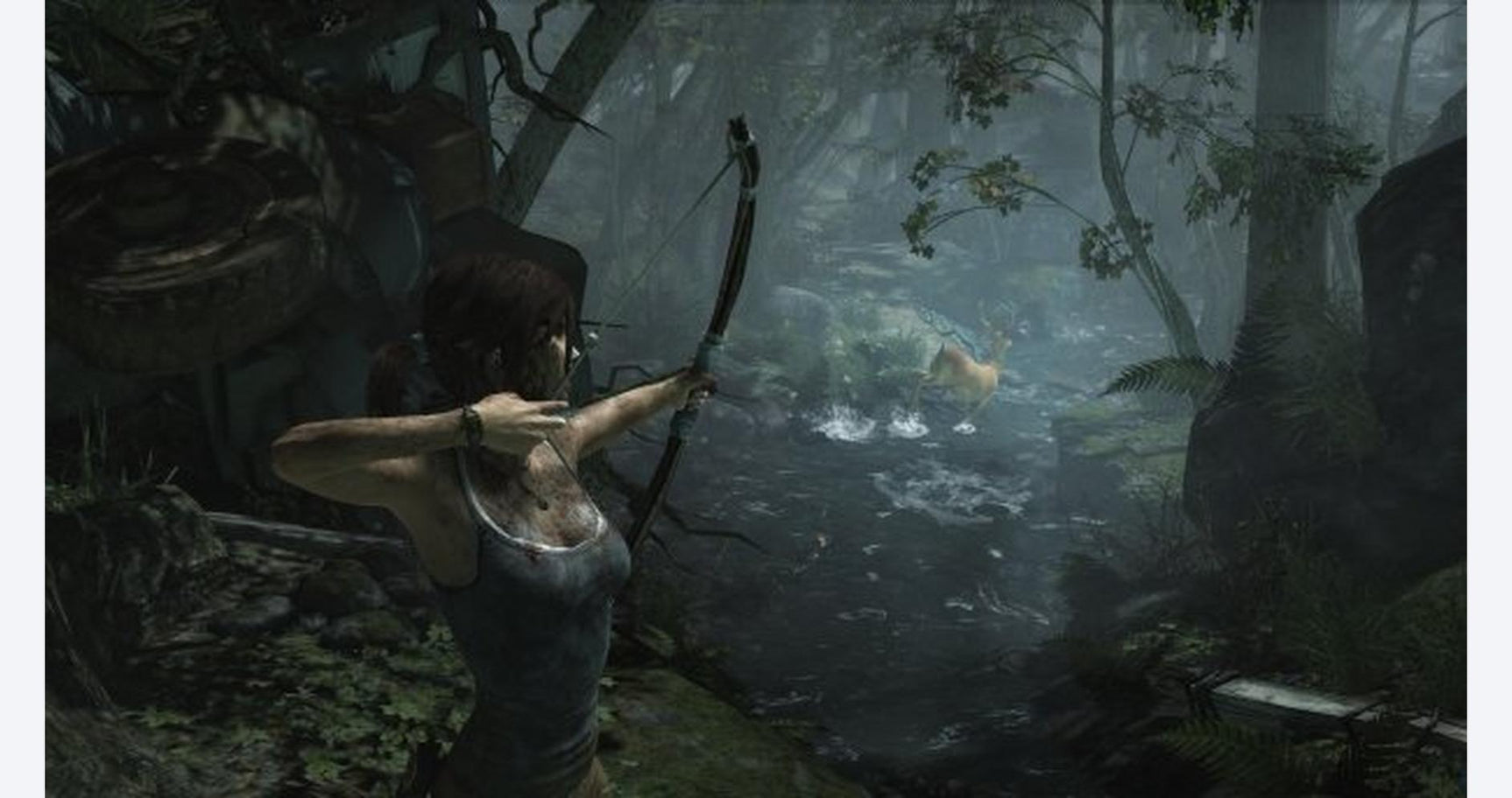 Tomb Raider: Definitive Edition - PlayStation 4