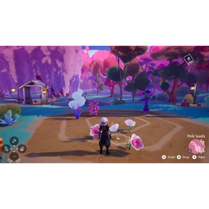 Wanderstop - Nintendo Switch 2