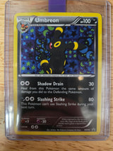 Eeveelution BW Promo Set COMPLETE