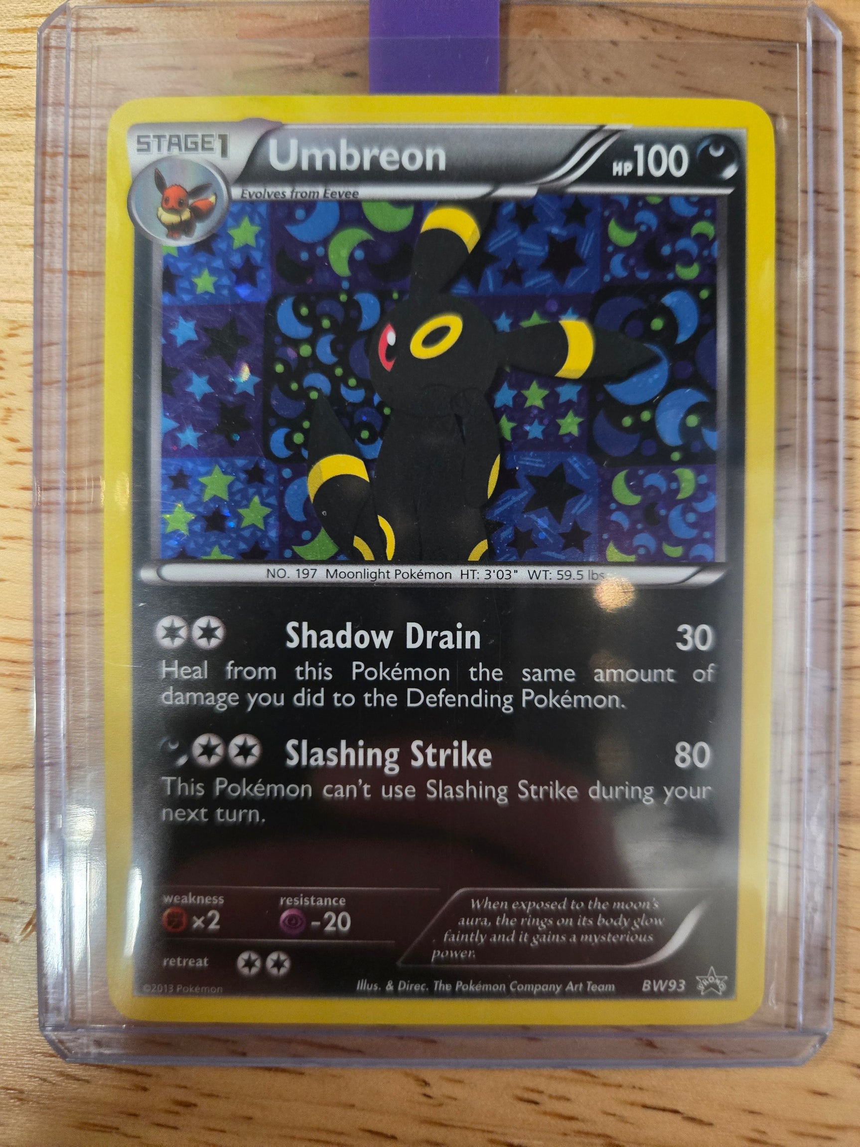 Eeveelution BW Promo Set COMPLETE