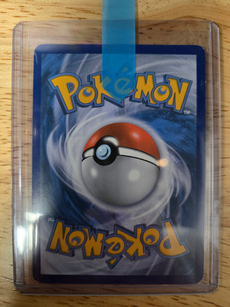 Eeveelution BW Promo Set COMPLETE