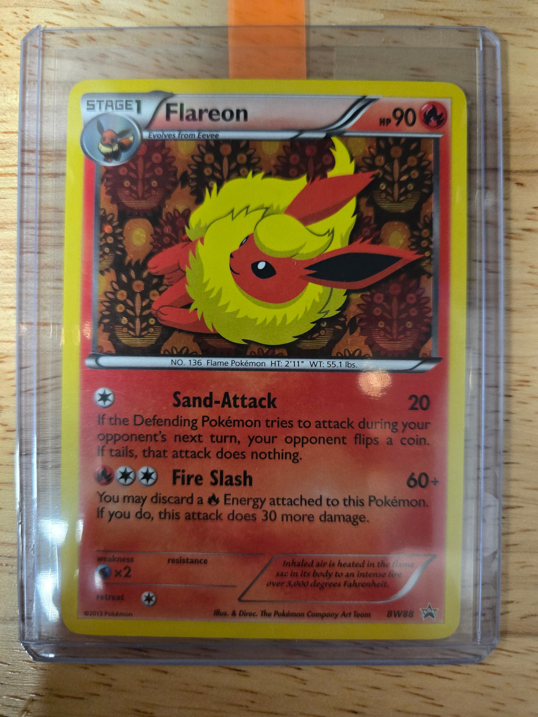Eeveelution BW Promo Set COMPLETE