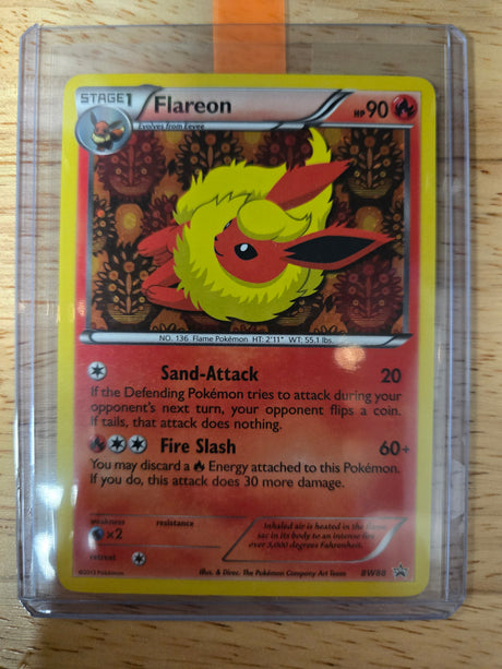 Eeveelution BW Promo Set COMPLETE