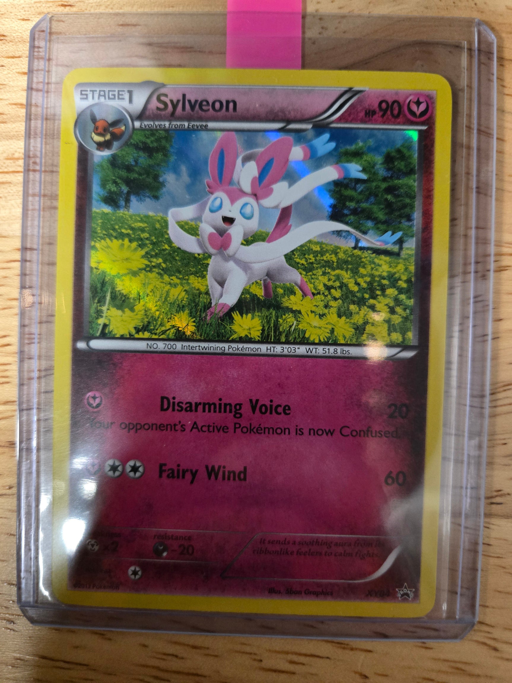 Eeveelution BW Promo Set COMPLETE