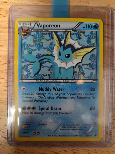 Eeveelution BW Promo Set COMPLETE