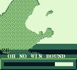 Worms (Limited Run) - Game Boy